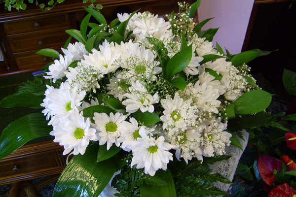 FLORISTAS LÁZARO BAETA flores blancas
